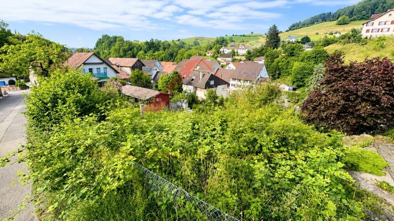 Your dream of a compact home in Baselbiet: Sunny building land parcel (6)