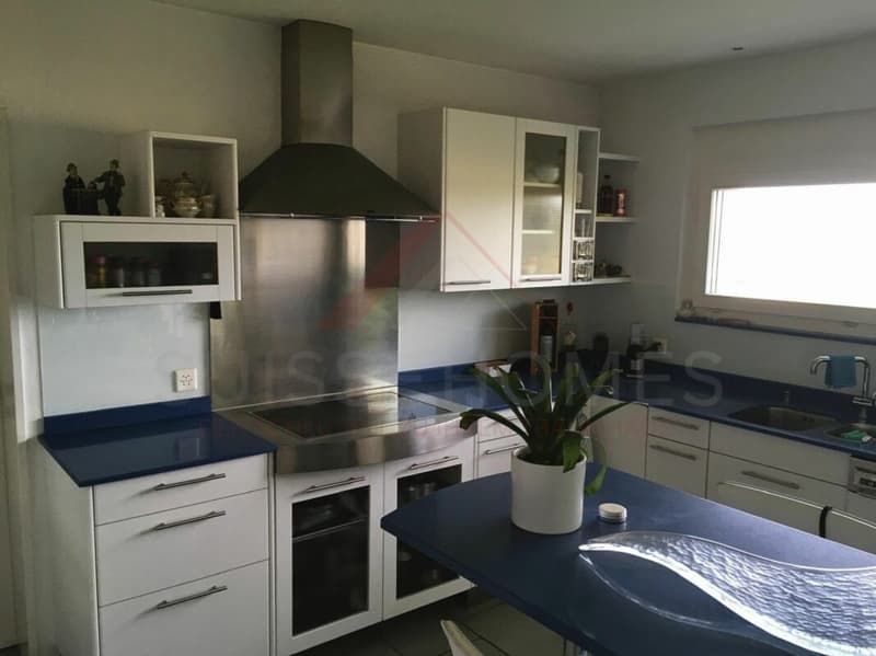 Charmantes 6.5-Zimmer-Einfamilienhaus mit Erdwärme, Doppelgarage und grosszügigem Raumangebot (6)