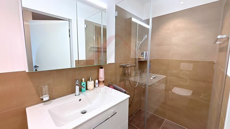 Exklusive 5.5 Zimmer Maisonette mit Designküche, Loggia und Minergie Standard (19)