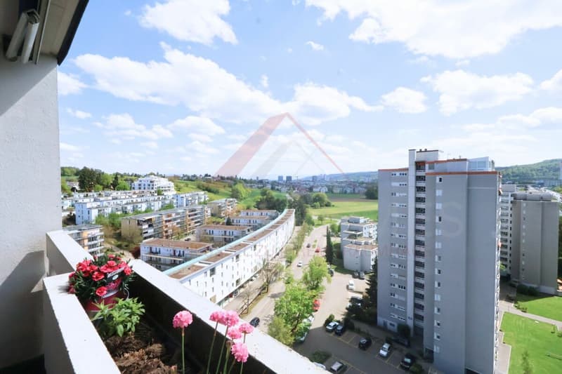 Occasion d'investissement rare avec revenus continus à Opfikon (14)
