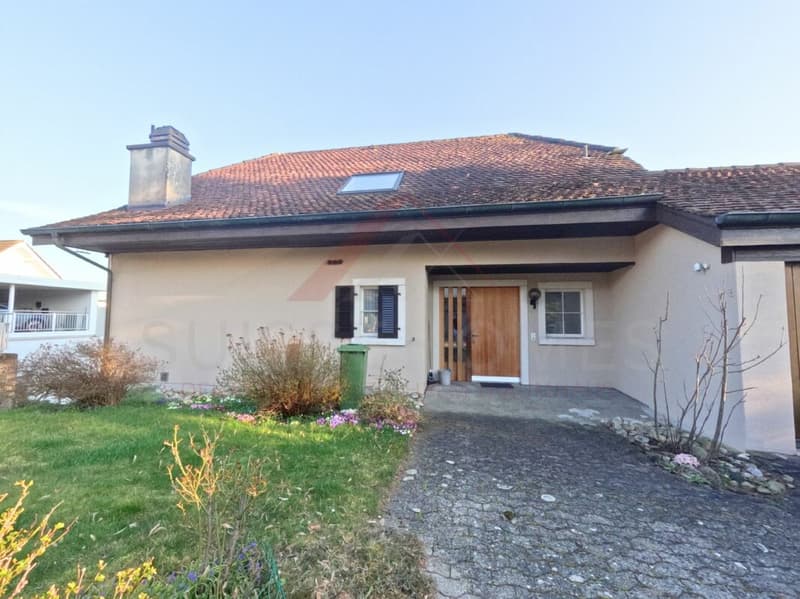 Vivre avec une vue - maison de 5,5 pièces dans le meilleur emplacement de Lohn-Ammannsegg (3)