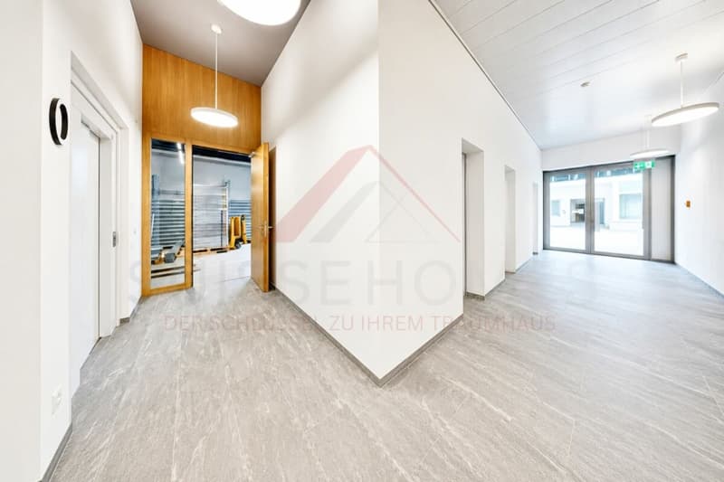 Gewerbefläche mit Potenzial - 160 m² im modernen Neubau in Buchrain (2)