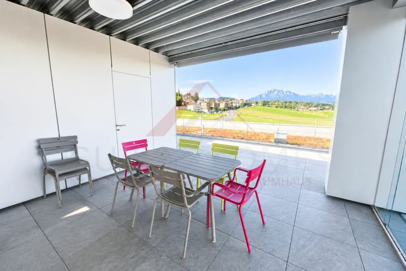 Gewerbefläche mit Potenzial - 160 m² im modernen Neubau in Buchrain (4)