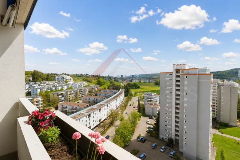 Rare Investment Opportunity in Opfikon with an Attractive Compensation Model (16)