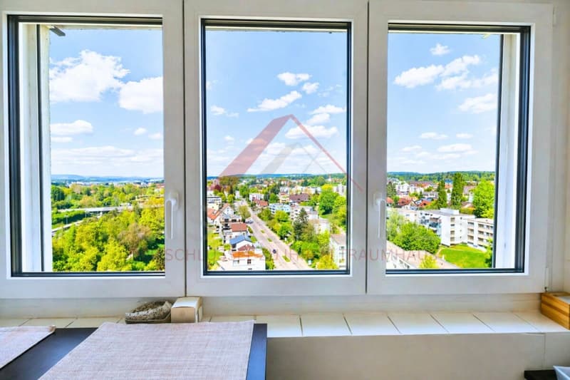 Rare Investment Opportunity in Opfikon with an Attractive Compensation Model (7)