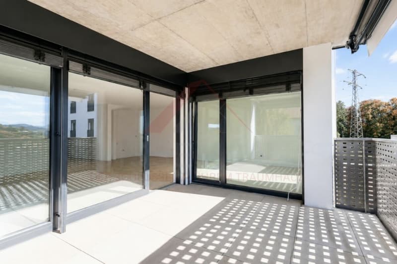 Living with style - modern 4.5-room apartment in Düdingen with spacious room layout (7)