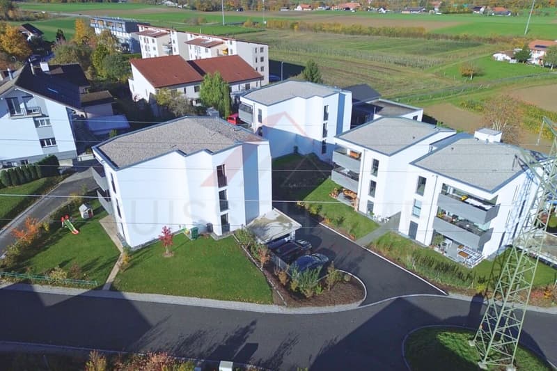 Living with style: superb 4.5-room apartment in Düdingen with beautiful volumes (3)