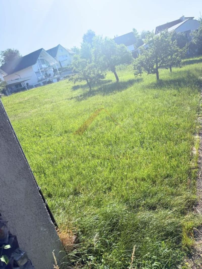 Terreno edificabile soleggiato con vista lontana - Realizza il tuo sogno di casa a Lampenberg (3)
