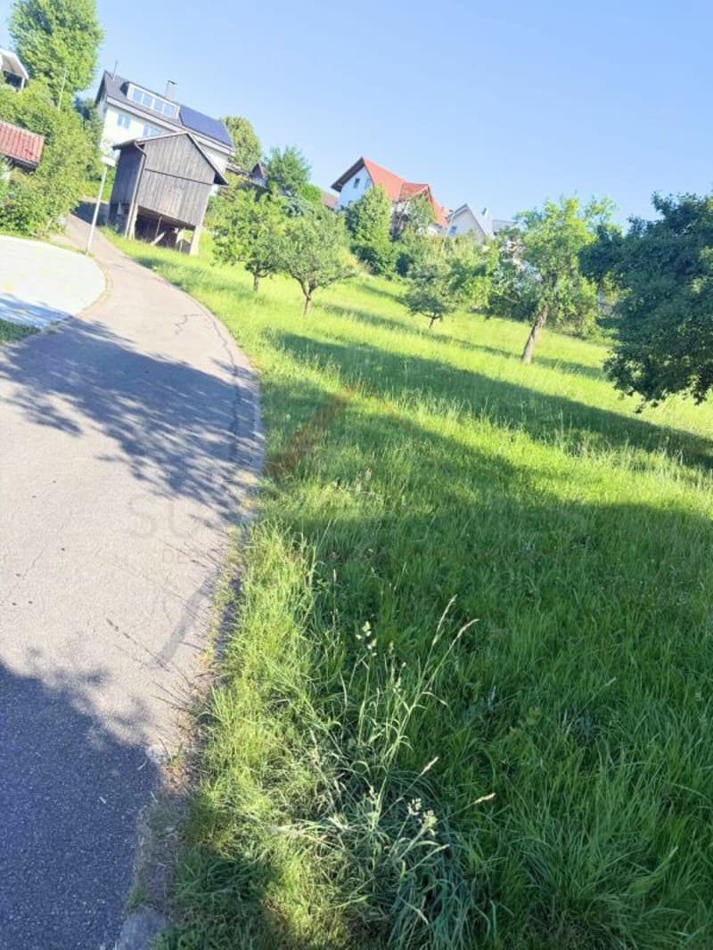 Terreno edificabile soleggiato con vista lontana - Realizza il tuo sogno di casa a Lampenberg (4)