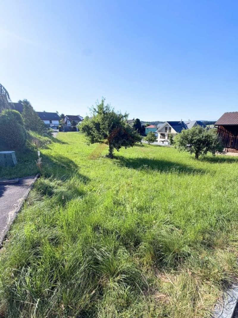 Terreno edificabile soleggiato con vista lontana - Realizza il tuo sogno di casa a Lampenberg (2)