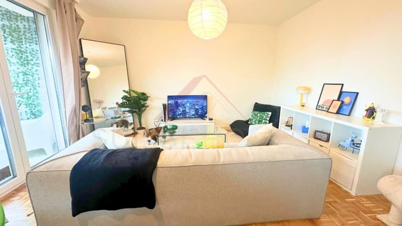 Rare à Fribourg - Appartement moderne entièrement rénové avec parking (6)