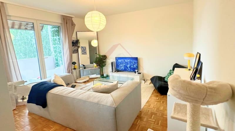 Rare à Fribourg - Appartement moderne entièrement rénové avec parking (5)
