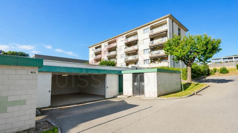 Marly - 3.5-Zimmer-Wohnung renoviert mit sonnigem Balkon und grüner Aussicht (2)