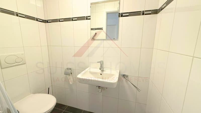 Aigle - Charming 2.5 rooms bright close to all amenities (8)