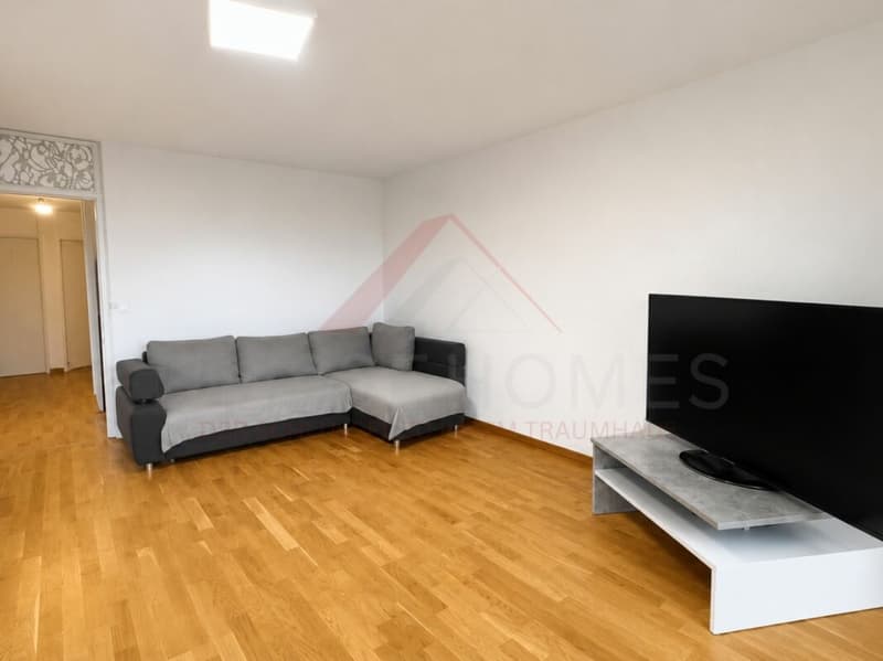 Living above the roofs of Burgdorf - Bright 3.5 room apartment with a view (3)