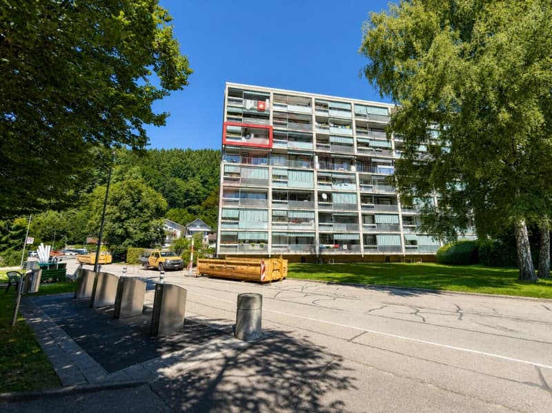 Living above the roofs of Burgdorf - Bright 3.5 room apartment with a view (2)