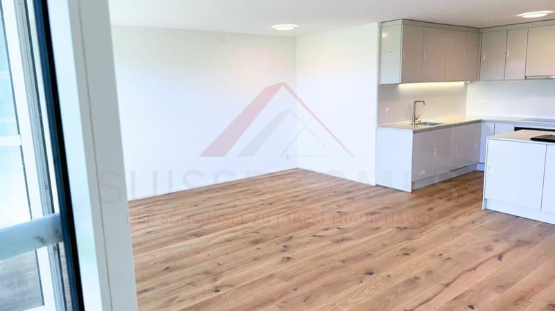 Appartamento di 3,5 locali elegantemente ristrutturato con balcone sulla periferia verde di Solothurn (8)
