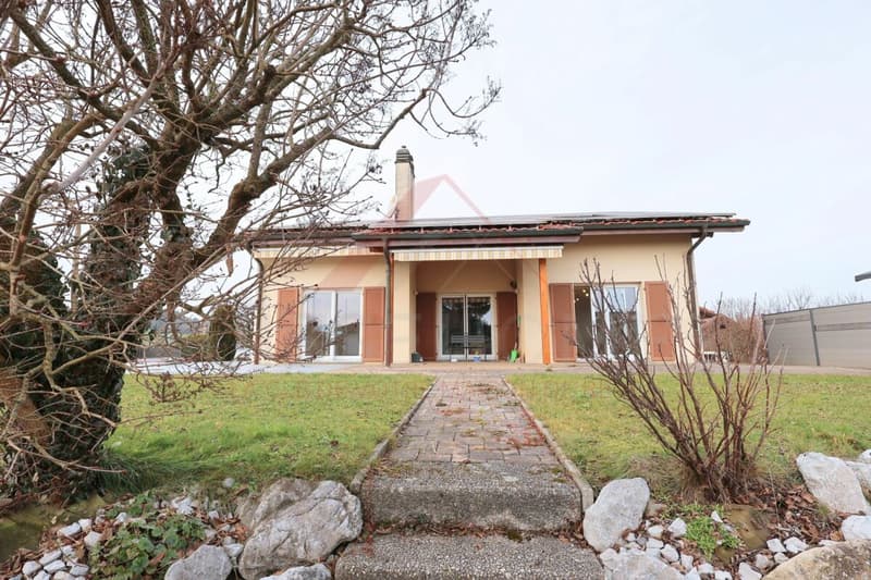 Casa familiare eccezionale con piscina, sauna e grande giardino a La Brillaz (3)