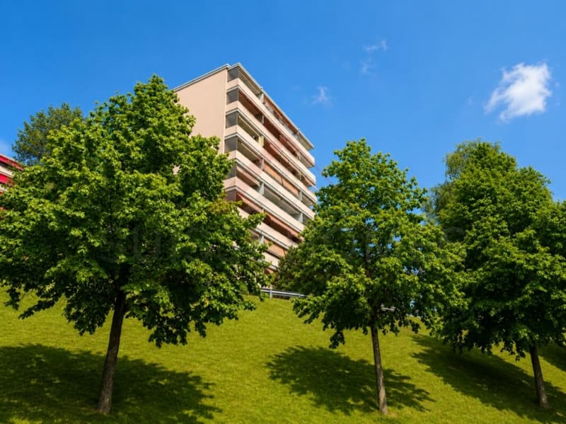 Raro a Friburgo - Appartamento moderno completamente rinnovato con parcheggio (2)