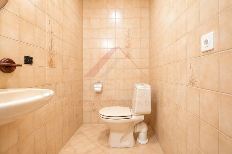 Exceptional family house with pool, sauna, and large garden in La Brillaz (25)