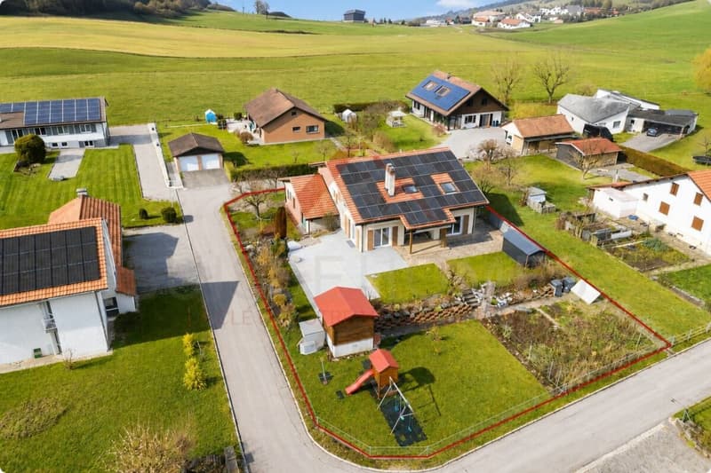Exceptional family house with pool, sauna, and large garden in La Brillaz (2)