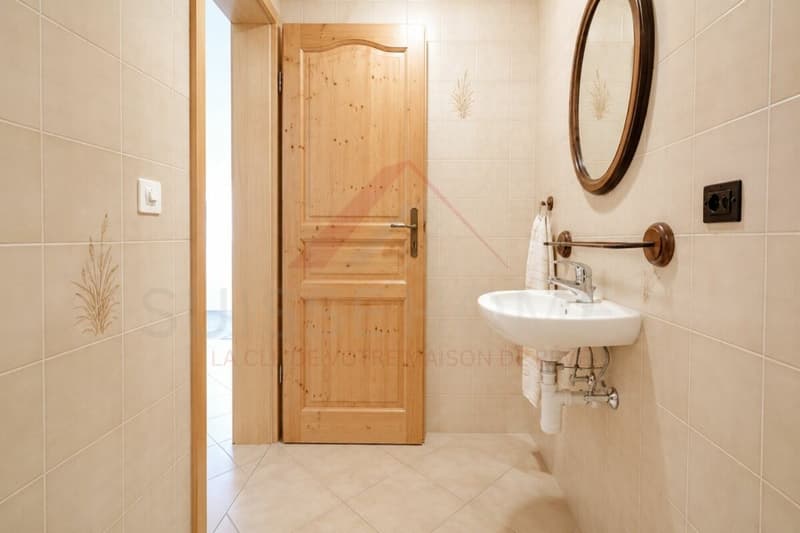 Exceptional family house with pool, sauna, and large garden in La Brillaz (24)