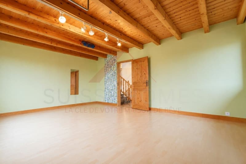 Exceptional family house with pool, sauna, and large garden in La Brillaz (16)
