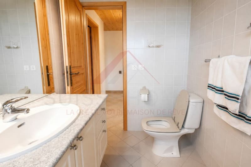 Exceptional family house with pool, sauna, and large garden in La Brillaz (22)