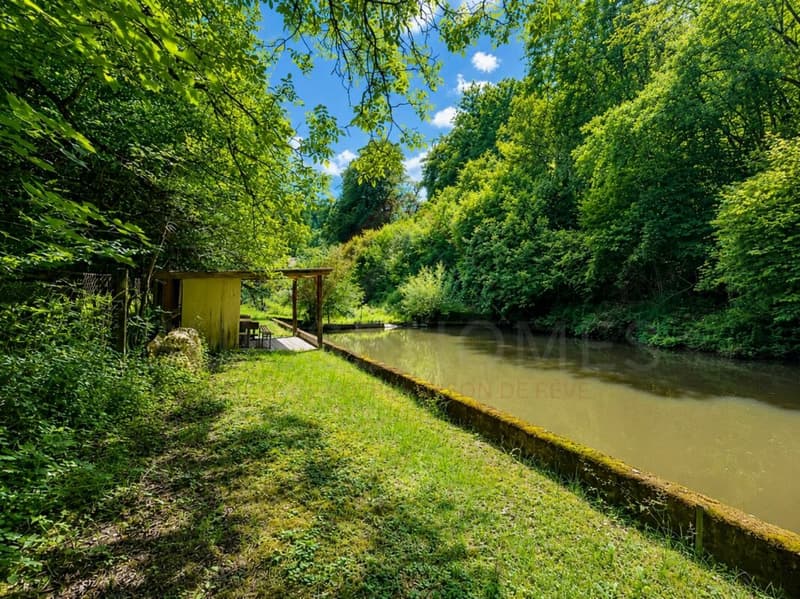 Naturparadies mit 7 Fischteichen - Einzigartige Freizeit- und Fischzuchtanlage in Gränichen (1)
