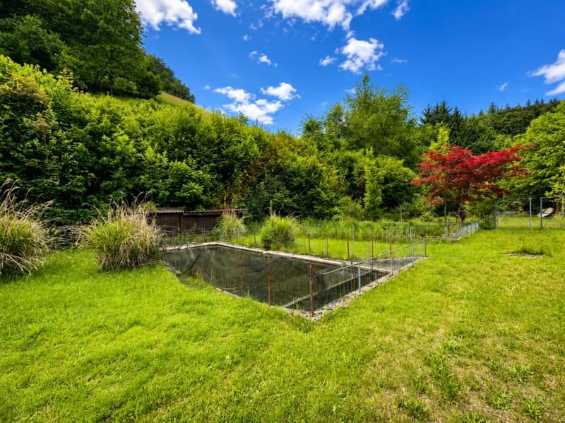 Naturparadies mit 7 Fischteichen - Einzigartige Freizeit- und Fischzuchtanlage in Gränichen (3)