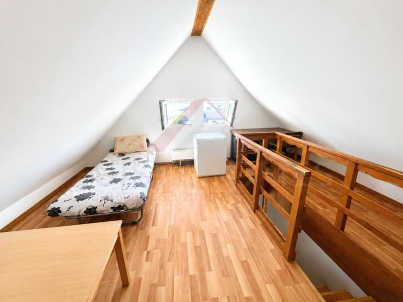 Mehrfamilienhaus mit grossem Entwicklungspotenzial in attraktiver Lage (4)