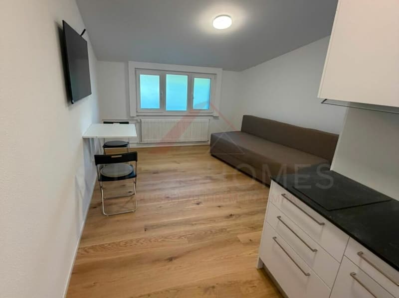 Modernes 1.5-Zimmer-Studio im Erdgeschoss - neuwertig, ruhig und mit attraktiven Inklusivleistungen (1)