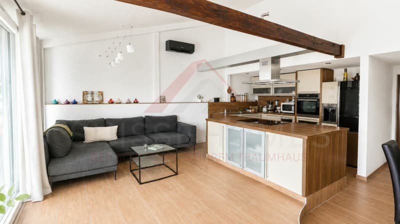 Grosszügiges 7-Zimmer-Einfamilienhaus mit Dachterrasse in Bannwil (3)