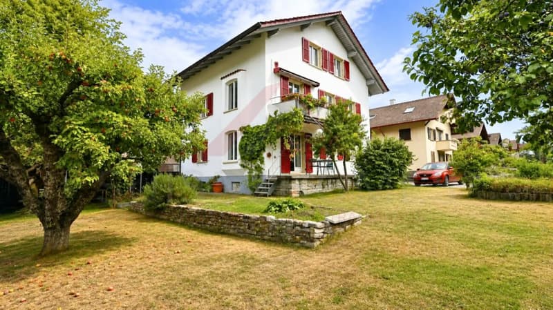 Vielseitiges Mehrfamilienhaus mit drei Wohneinheiten und attraktiven Gewerbeflächen (2)