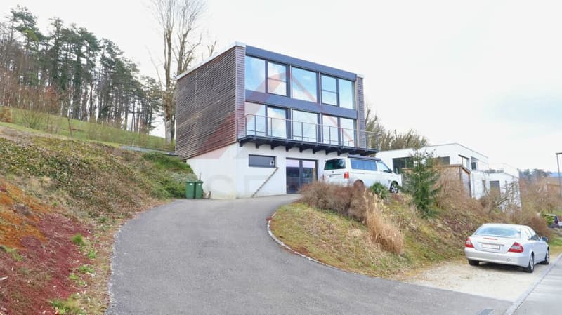 Porrentruy - Villa Minergie (HPE) 5.5 pièces avec parcelle 1'119 m² et vue panoramique (20)