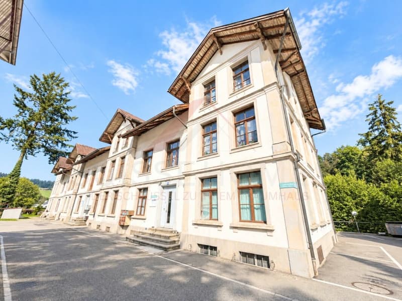 Historisches Fabrikensemble mit bestehendem Ertrag und Entwicklungspotenzial (1)