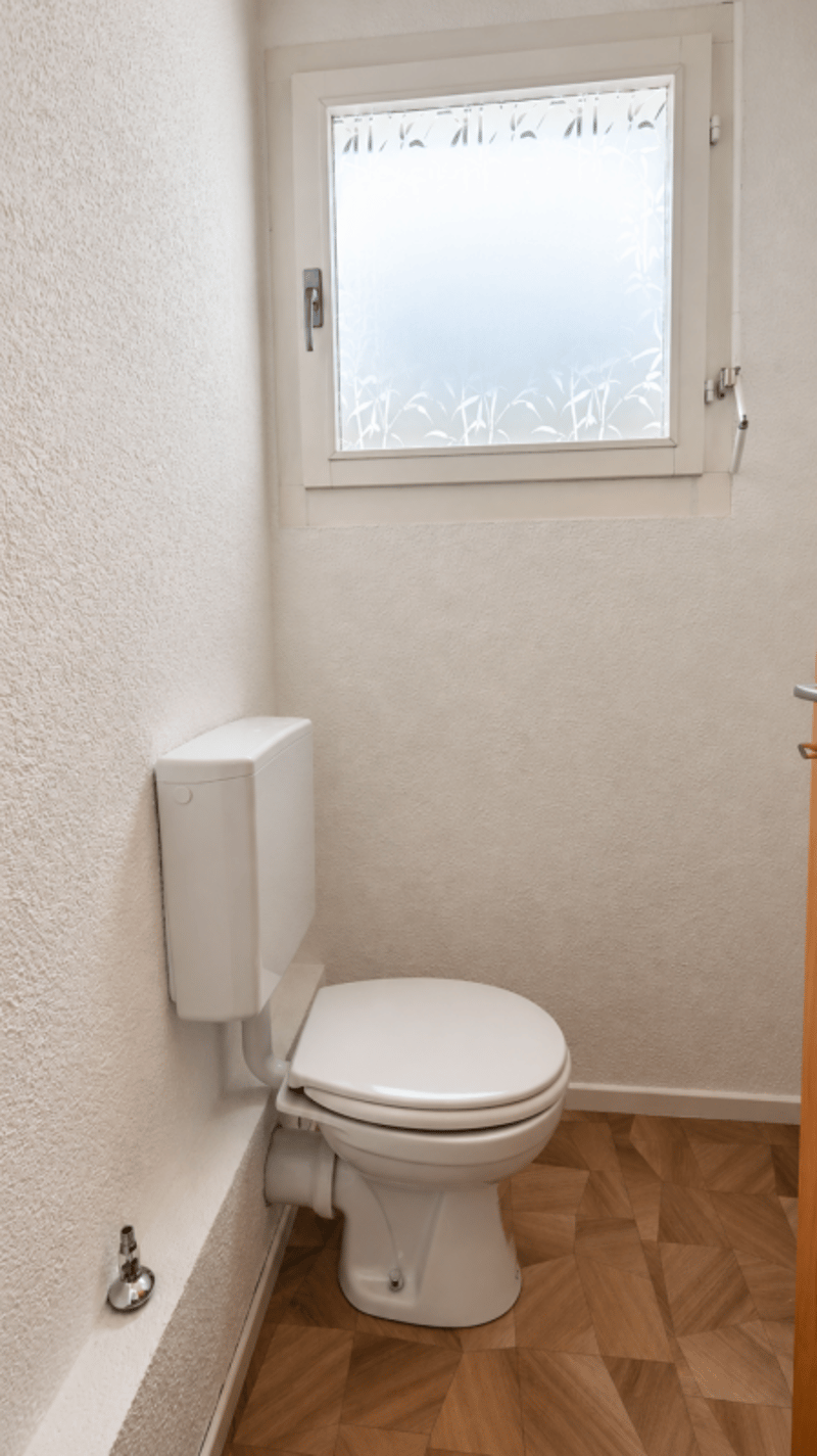 Gepflegter Gewerberaum im Erdgeschoss in 4564 Obergerlafingen - ideal für ruhige Dienstleistungs- und Bürotätigkeiten (9)