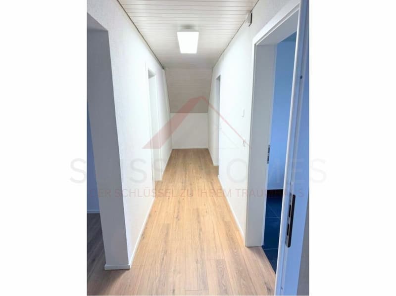 Neuwertige 2.5-Zimmer-Dachwohnung mit Waschturm & Parkplatz (1)