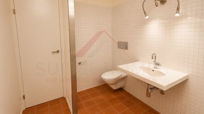 Mehr als nur eine Gartenwohnung - 2.5 Zimmer mit Potenzial für mehr! (11)