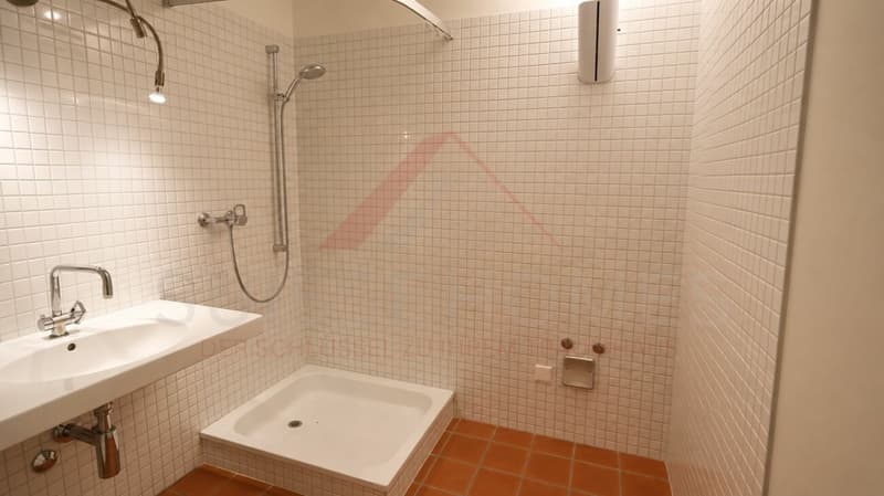Mehr als nur eine Gartenwohnung - 2.5 Zimmer mit Potenzial für mehr! (10)