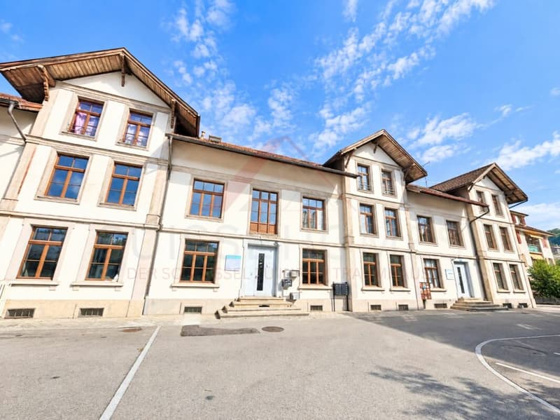 Ein Stück Geschichte mit Zukunft - Fabrikensemble mit Ertrag & Entwicklungspotenzial (1)