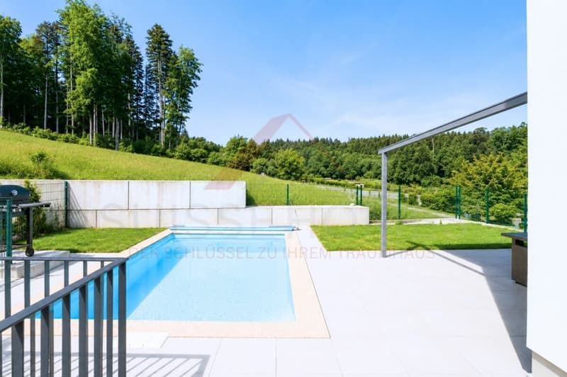Feriengefühl im eigenen Zuhause - neuwertiges 5.5-Zimmer-Reihenhaus mit Pool & Garten (3)