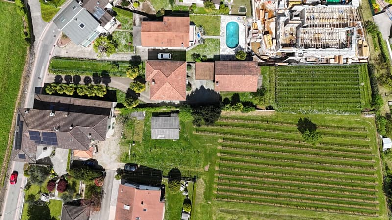 dji_fly_20250425_135250_0166_1746190417940_photo