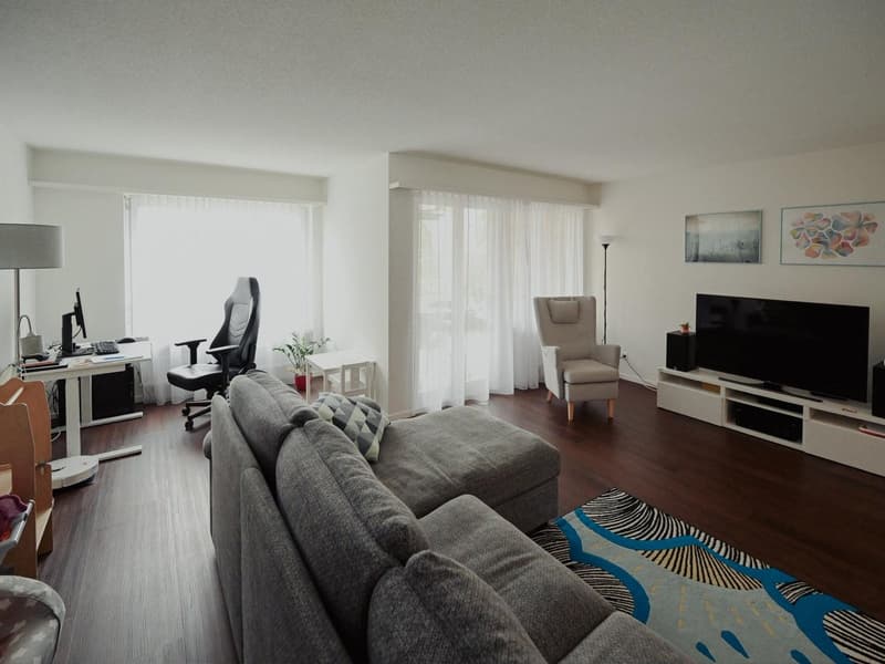large L-shaped sofa, floor lamp, desk, monitor, keyboard, chair, television, flooring, paintings, table, flowerpot, rug
