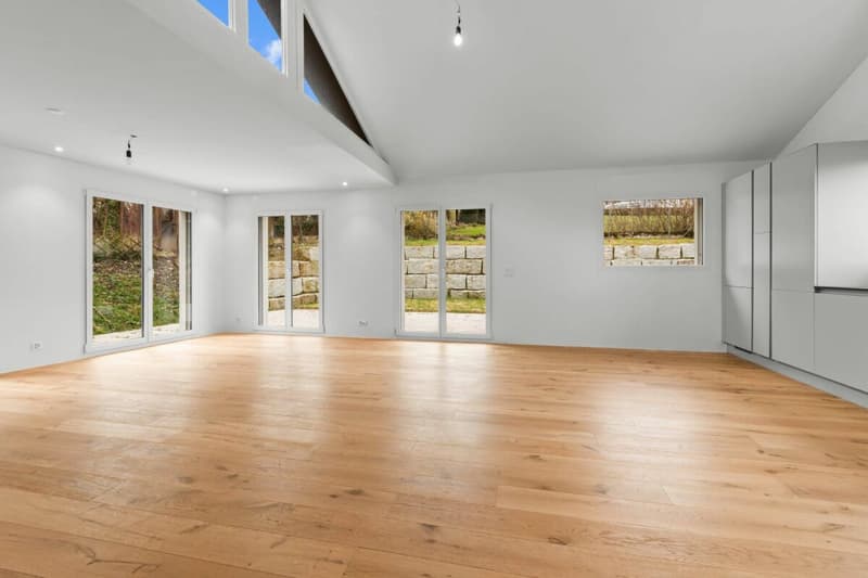 2025 Kernsaniert - 5.5 Zimmer EFH in Bergdietikon (21)