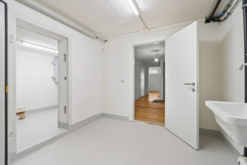 2025 Kernsaniert - 5.5 Zimmer EFH in Bergdietikon (31)