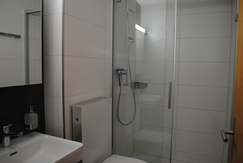 Charmante 2.5-Zimmer-Wohnung in ruhiger Lage von Spiez (3)