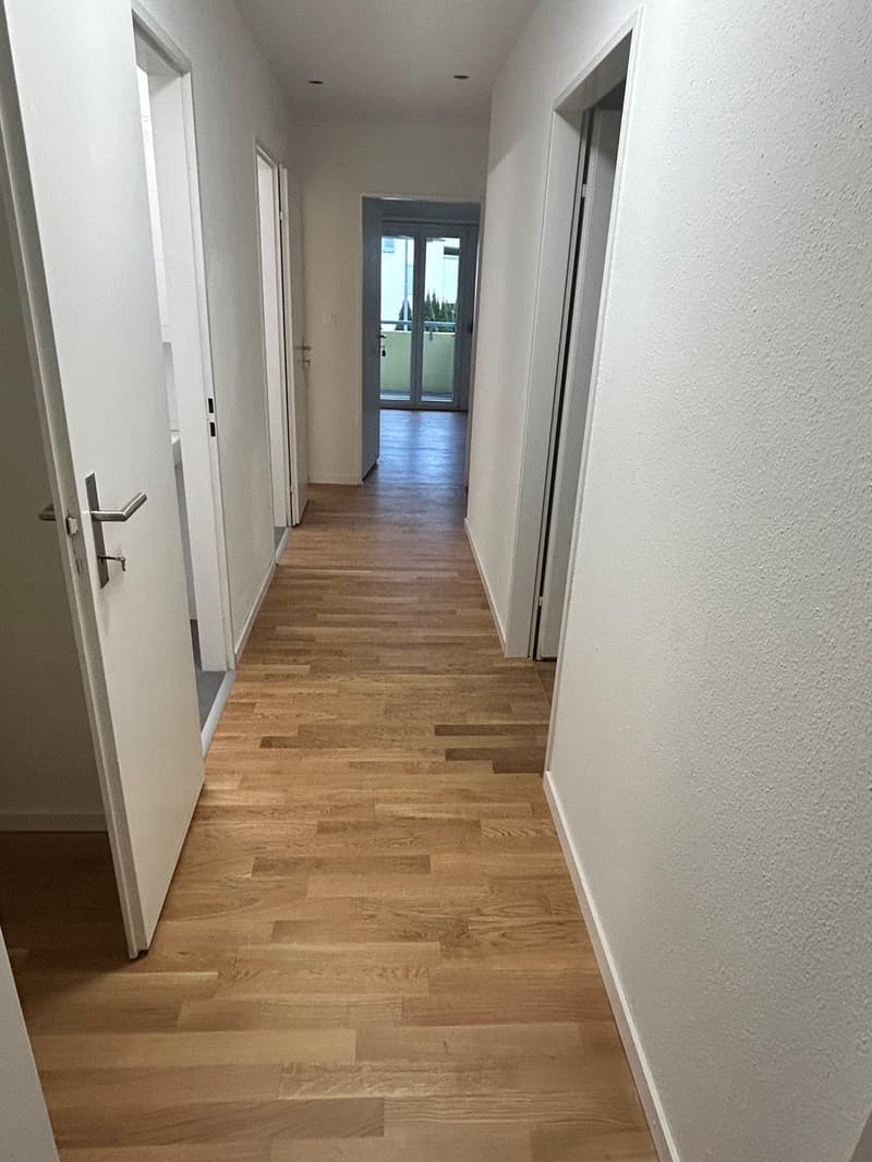 Renovated 4-room apartment (8)