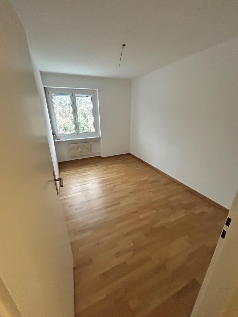 Renovated 4-room apartment (7)