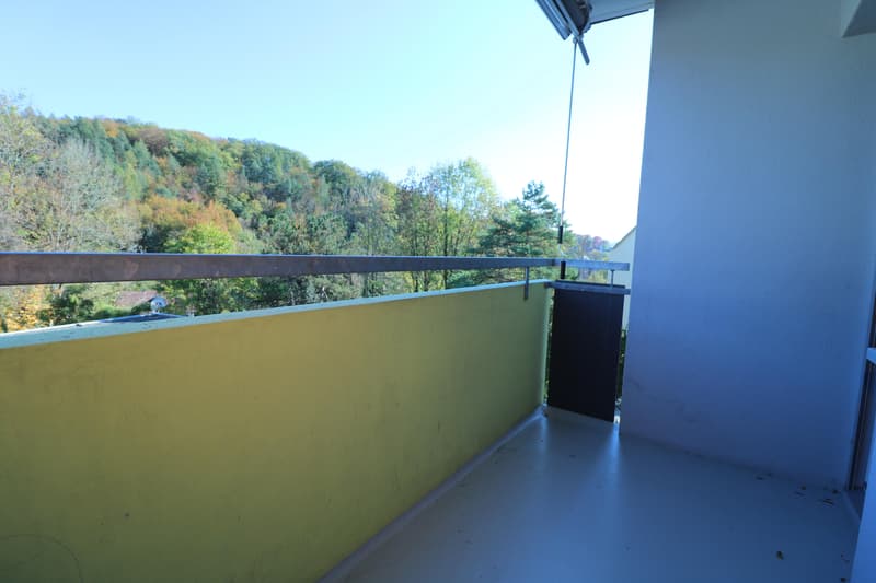 Renovated 4-room apartment (9)
